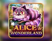 ALICE WONDERLAND MC